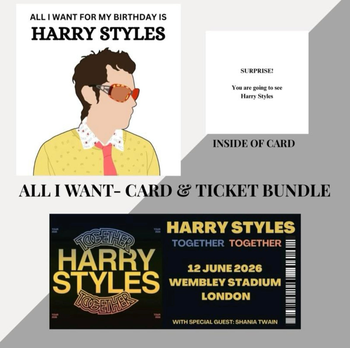 Harry Styles birthday card and souvenir ticket bundle