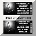 Catfish and The Bottlemen Tour inspired souvenir tickets