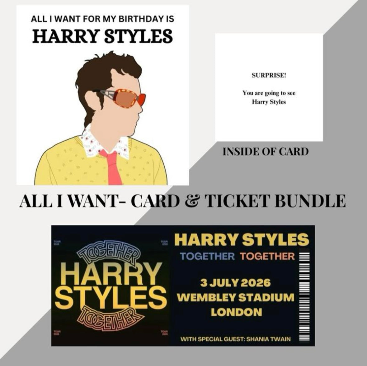 Harry Styles birthday card and souvenir ticket bundle
