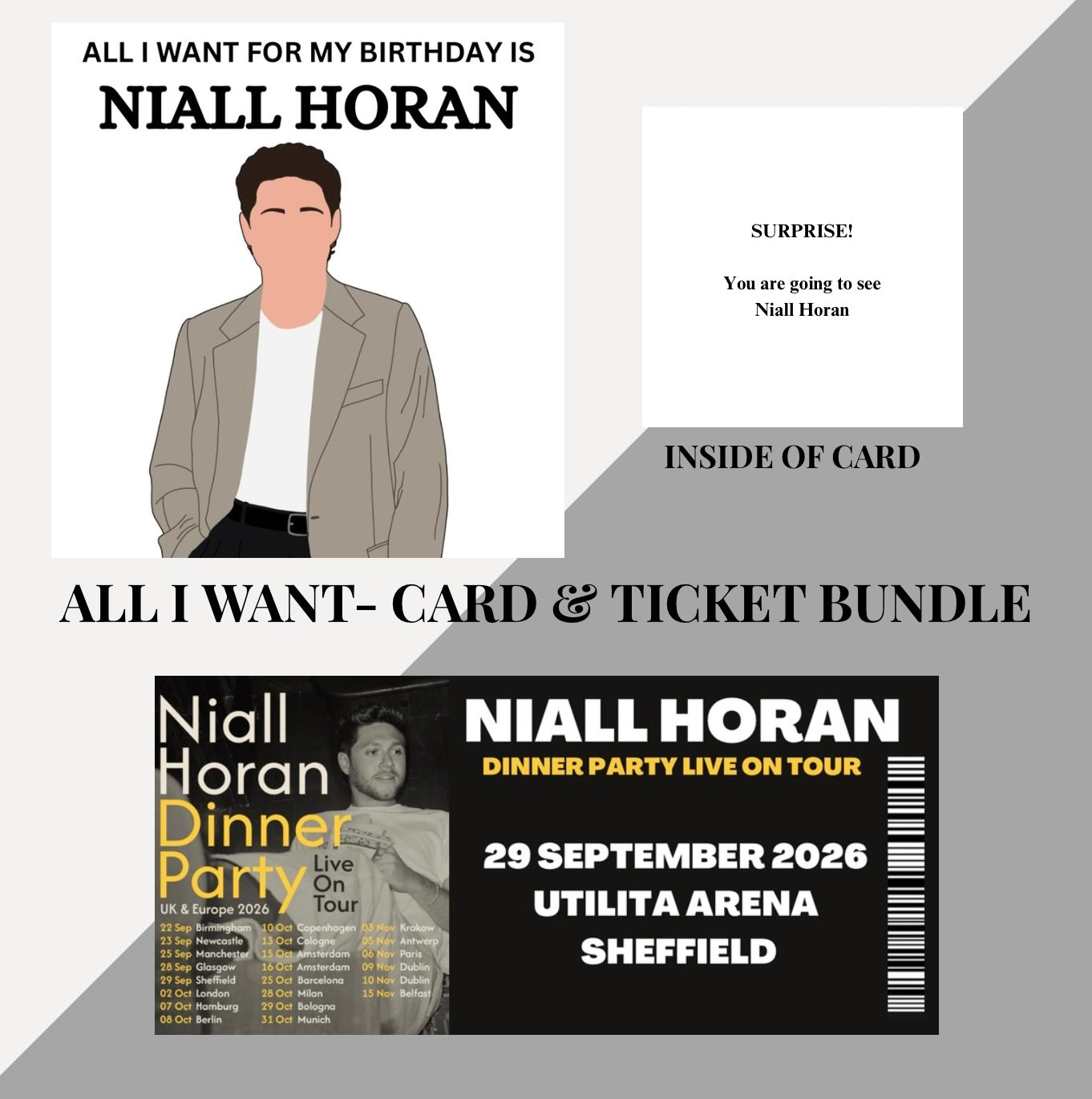 Niall Horan Birthday card and souvenir ticket bundle