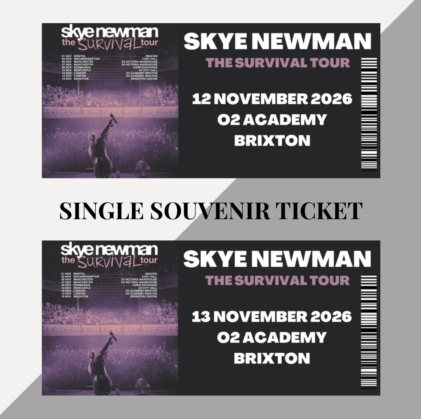 Skye Newman ‘The Survival Tour’ inspired souvenir tickets