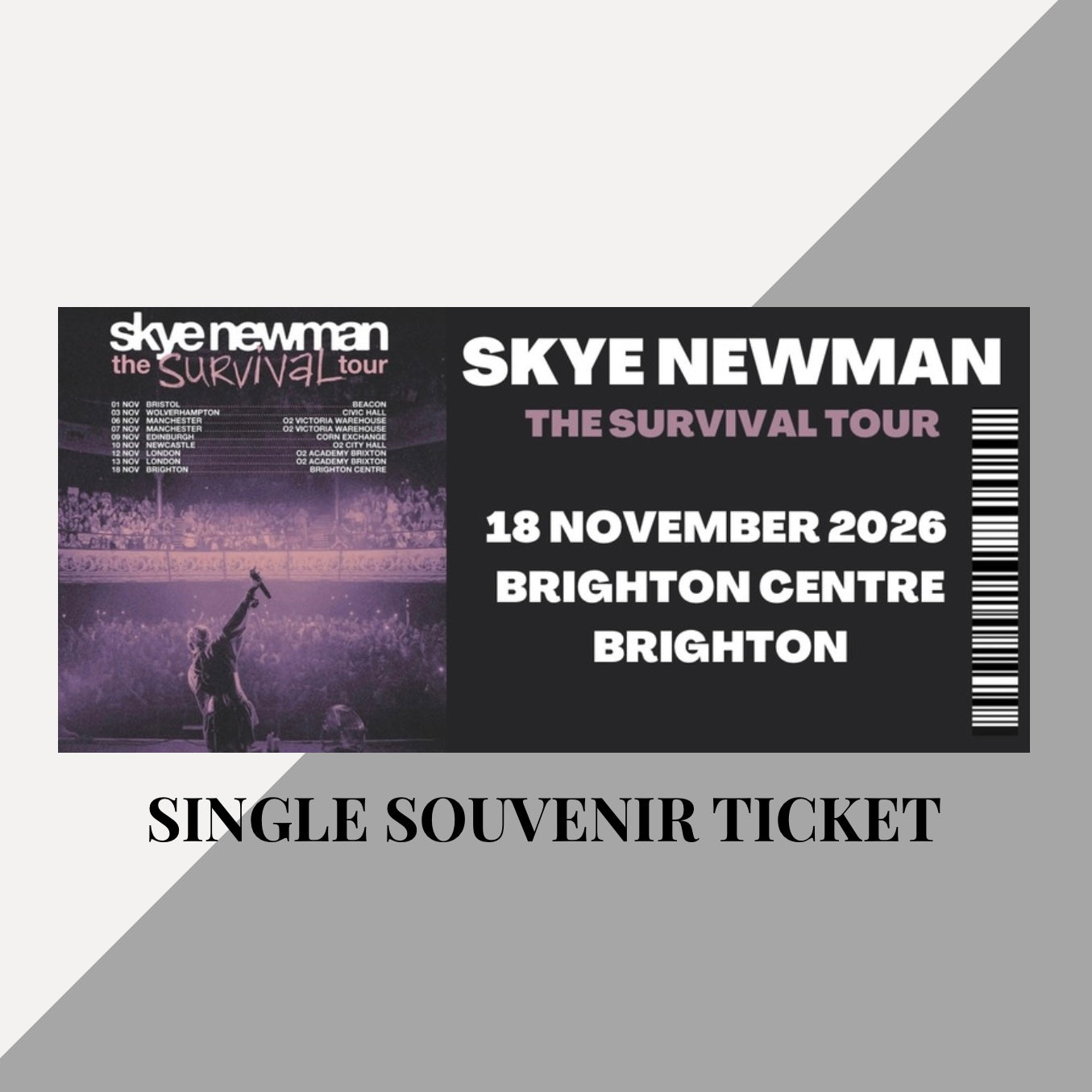 Skye Newman ‘The Survival Tour’ inspired souvenir tickets