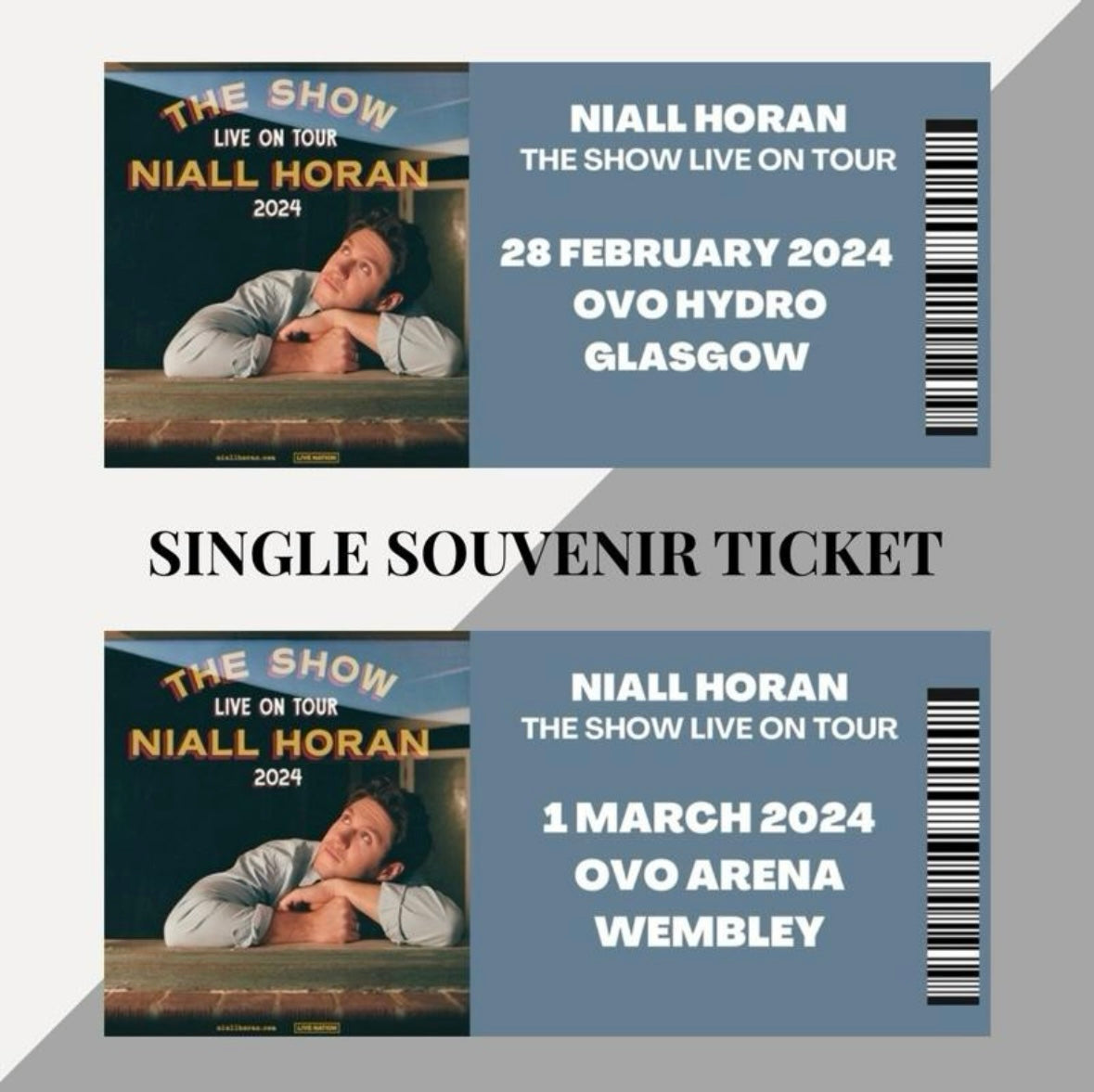 Niall Horan ‘The Show Live On Tour’ inspired souvenir tickets