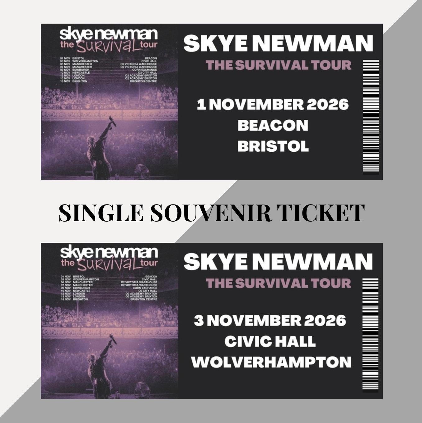 Skye Newman ‘The Survival Tour’ inspired souvenir tickets