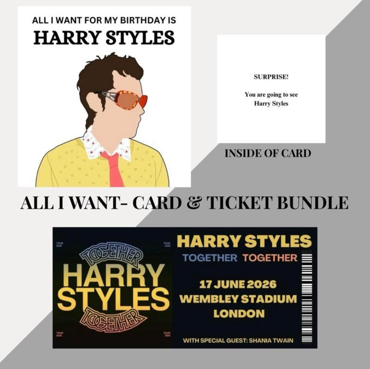 Harry Styles birthday card and souvenir ticket bundle