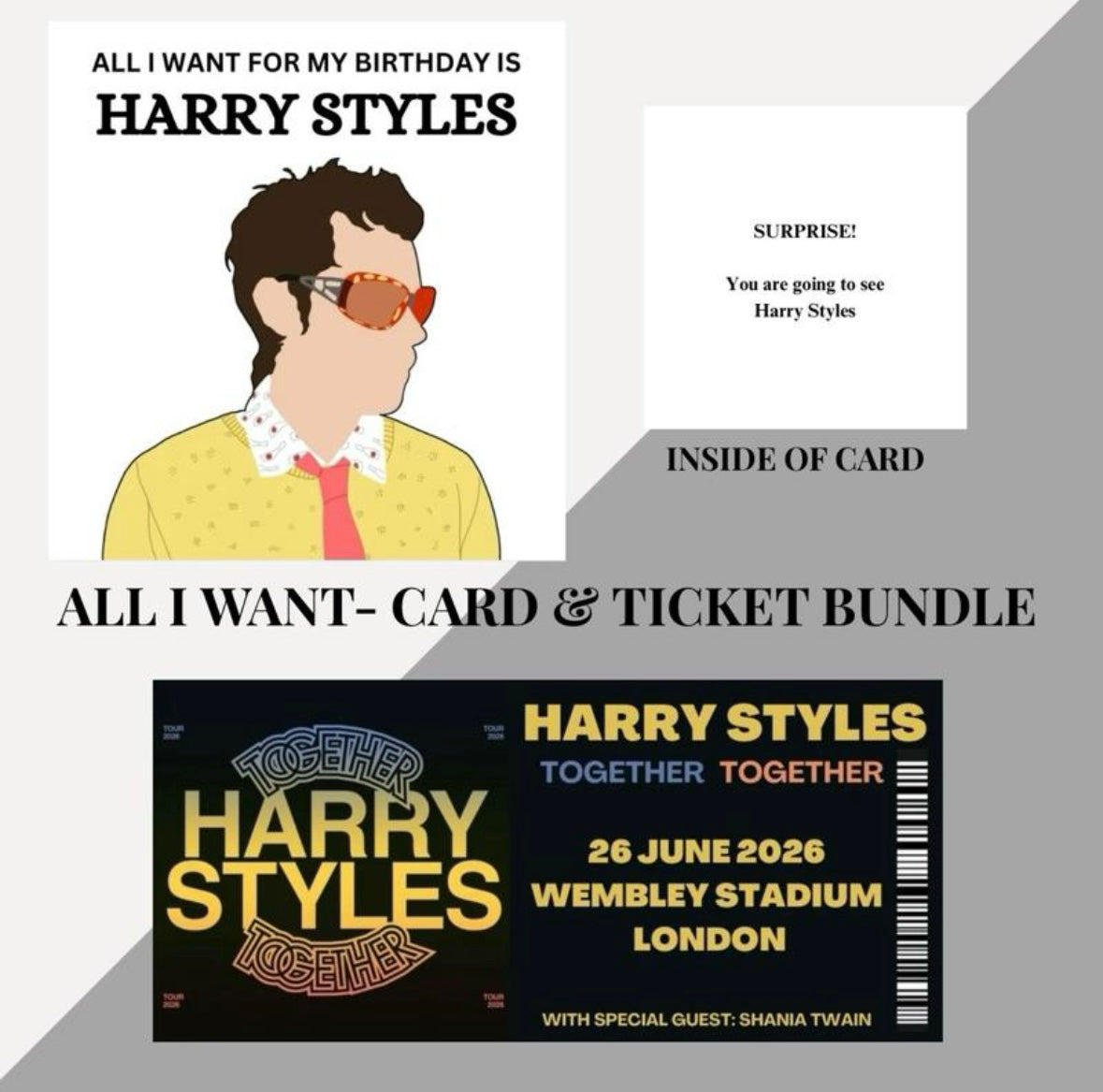 Harry Styles birthday card and souvenir ticket bundle