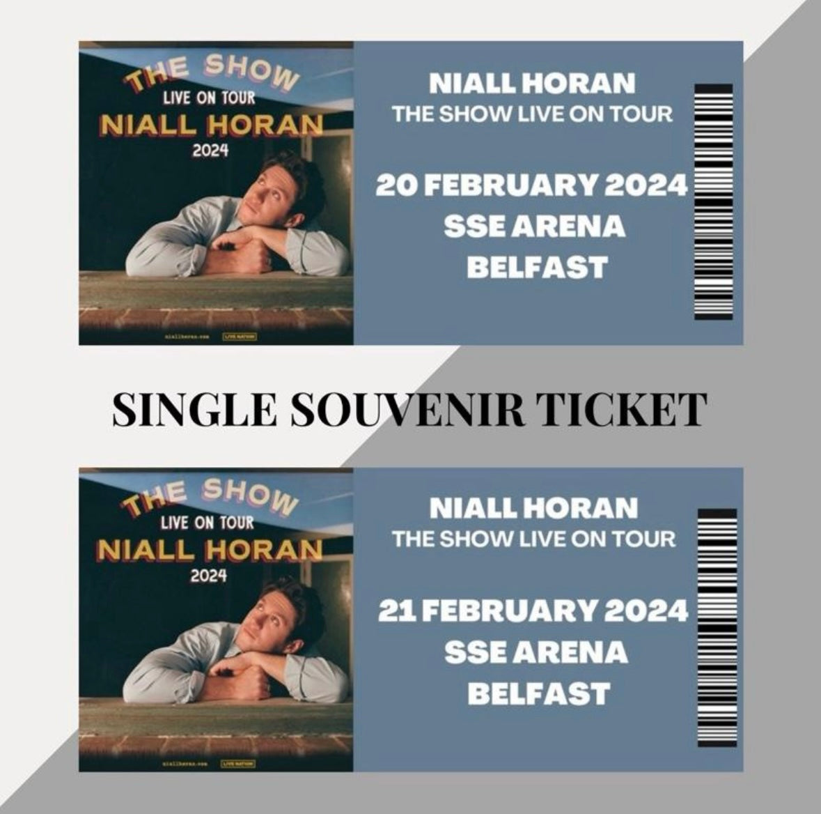 Niall Horan ‘The Show Live On Tour’ inspired souvenir tickets