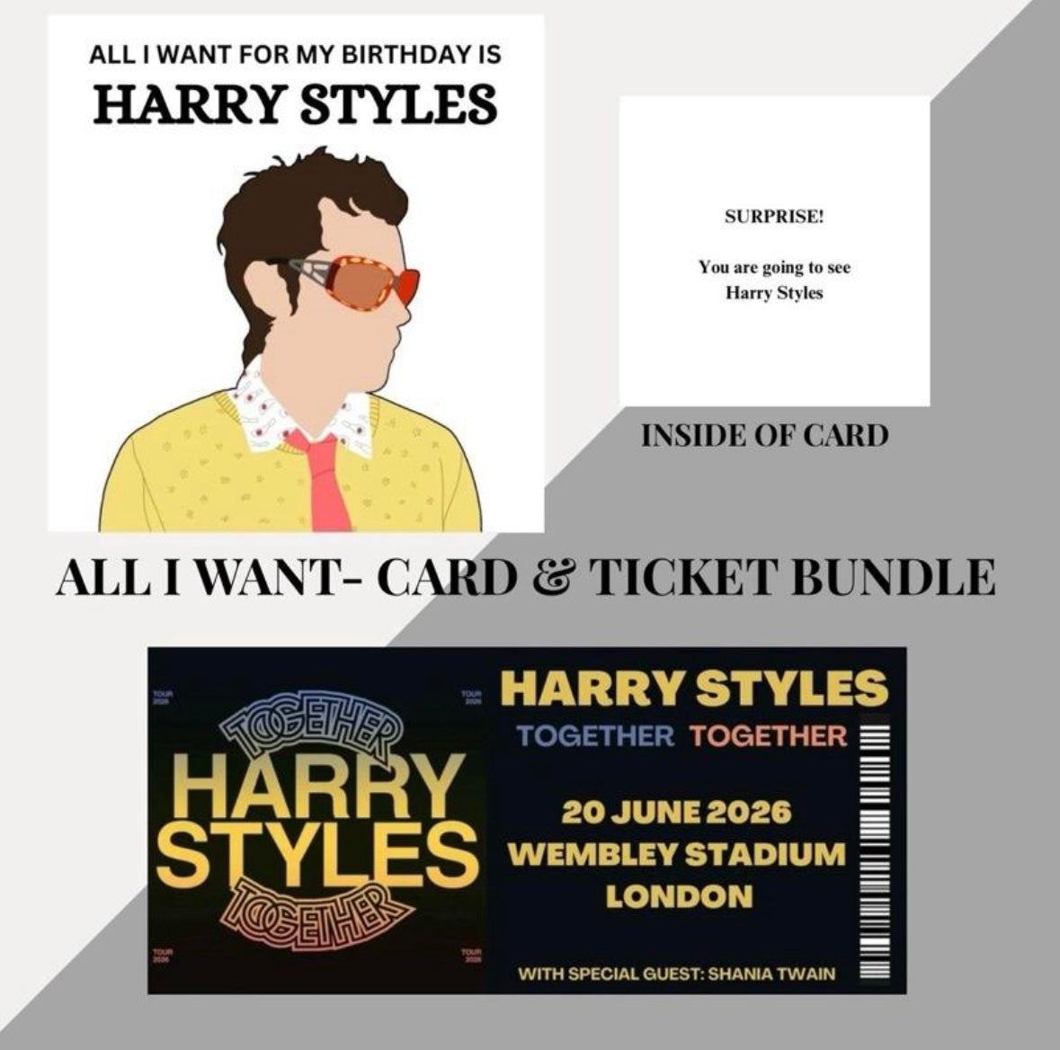 Harry Styles birthday card and souvenir ticket bundle